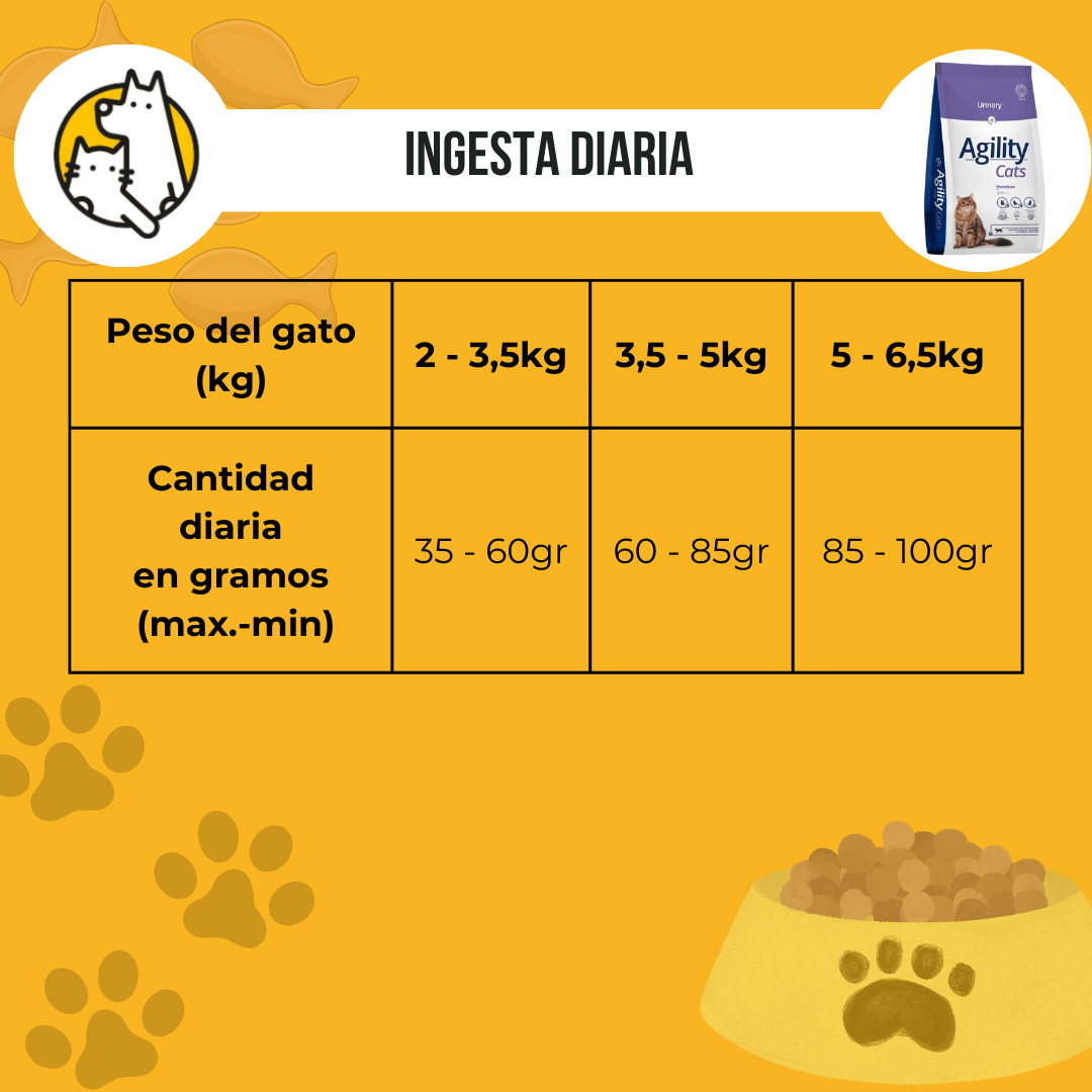 AGILITY GATO INGESTA DIARIA