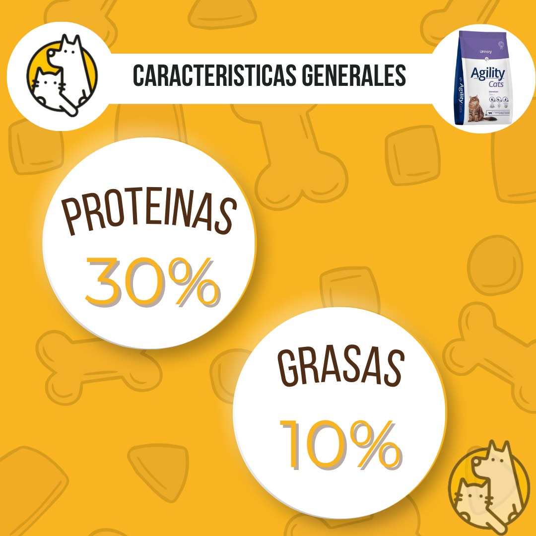 CARACTS GENERALES