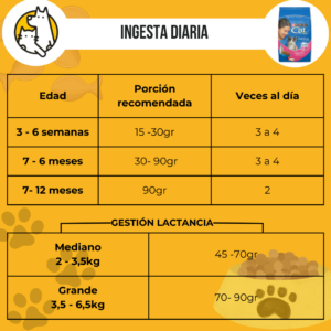 Cat Chow Gatito - Image 3