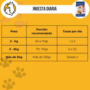 Cooperacion gato pollo - Image 3