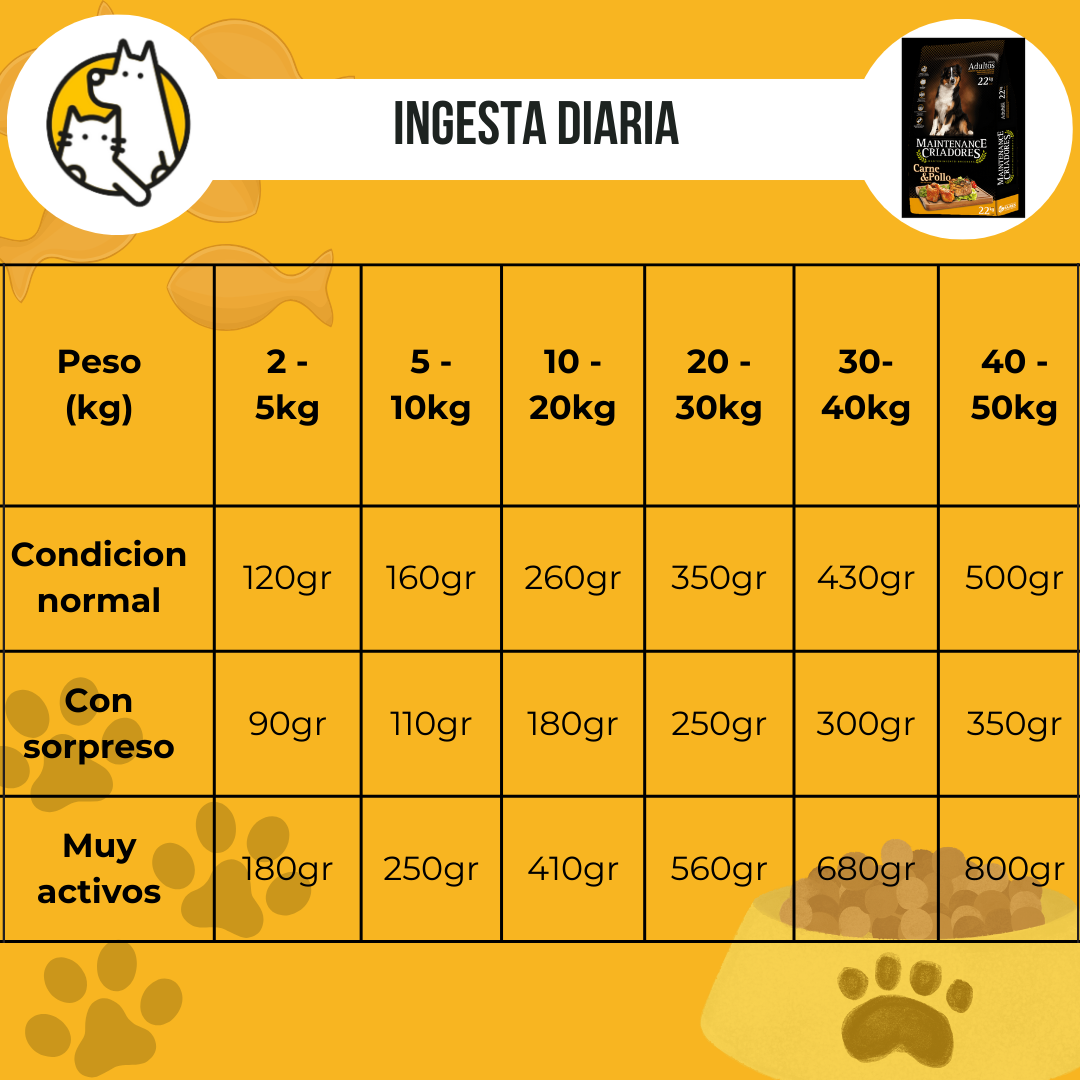 Criadores perro ID