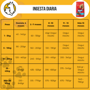Dogui cachorro - Image 3