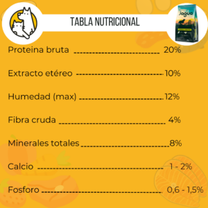 Jagua Perro adulto - Image 3