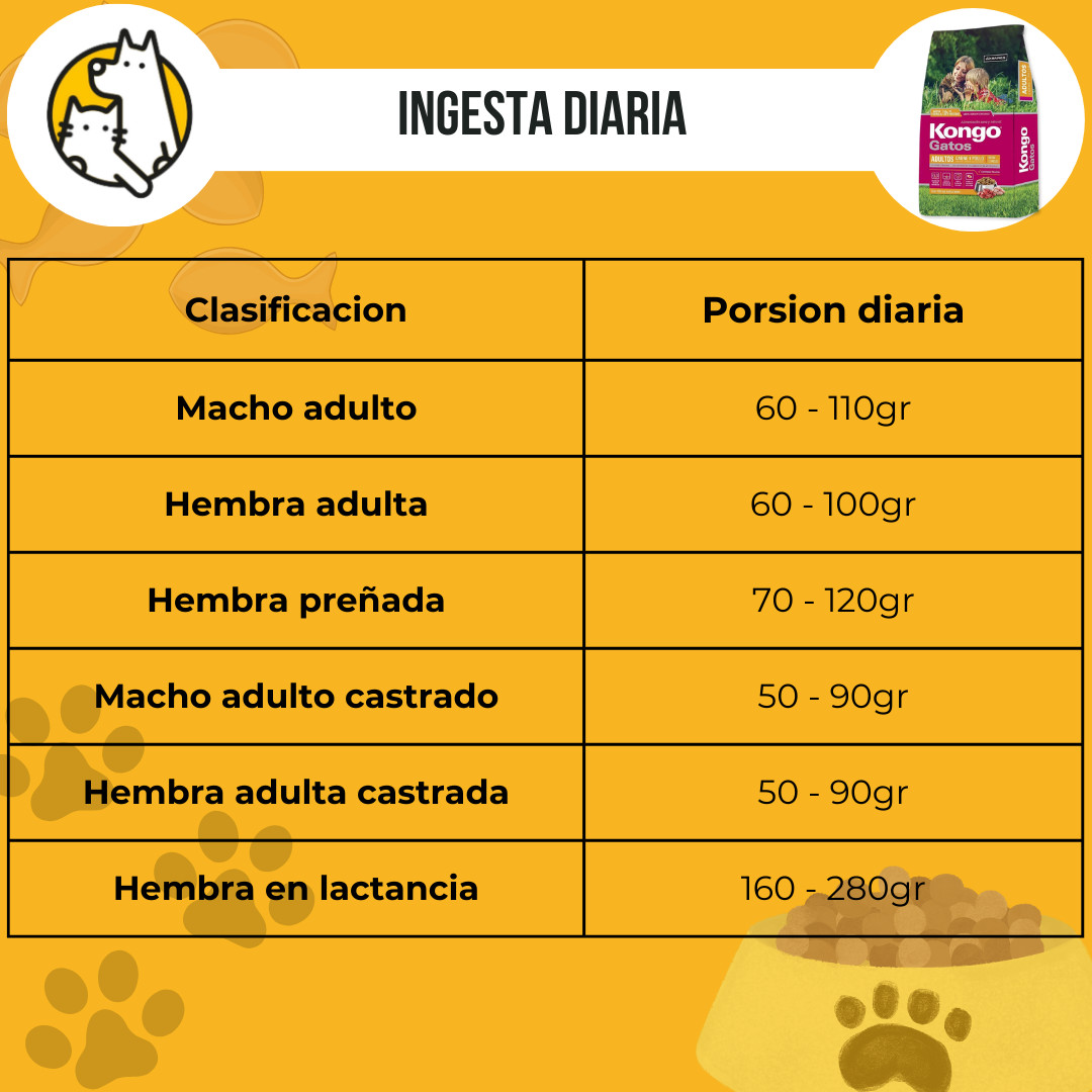 Kongo gato ID