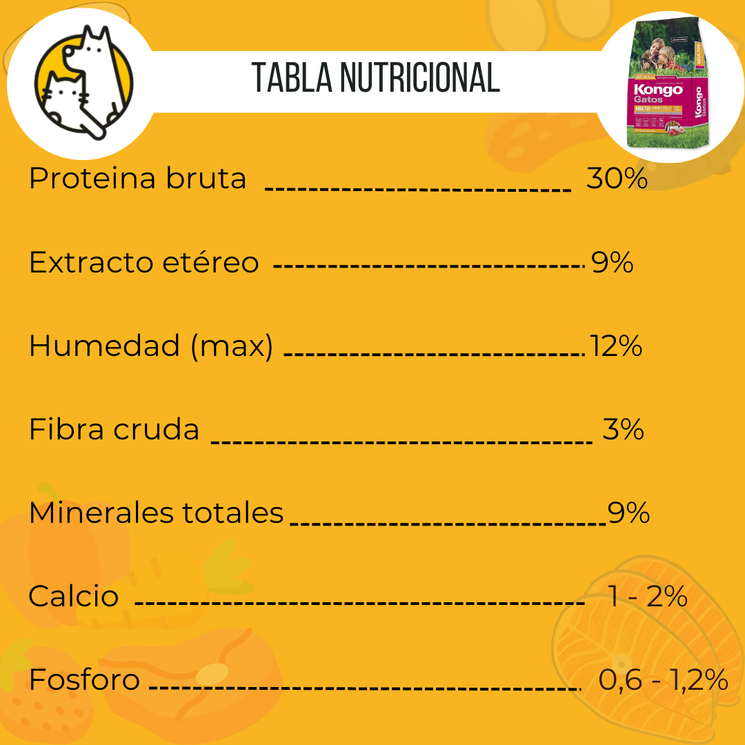 Kongo gato Tabla