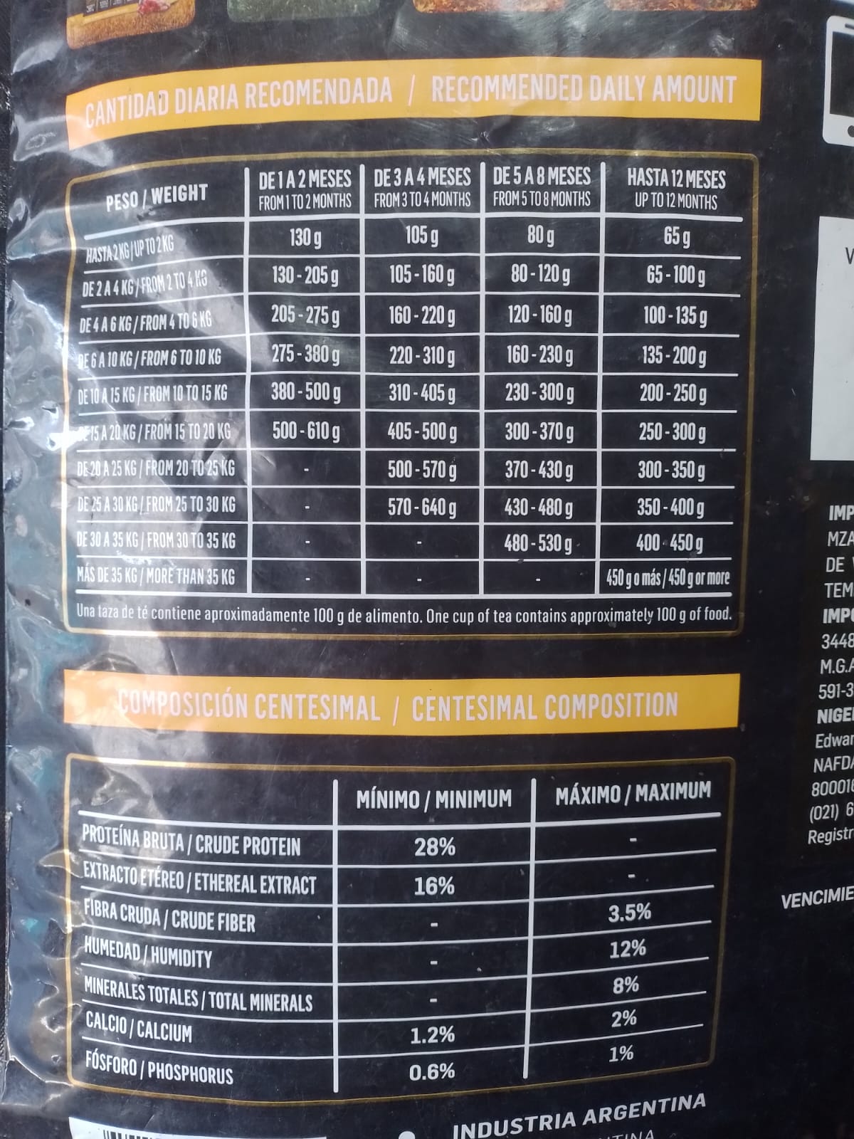 Kongo gold cachorro ID + T