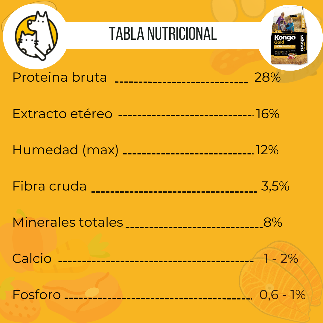 Kongo gold cachorro Tabla