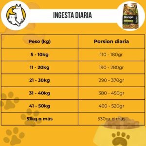 Kongo gold adulto R. Med y Gde - Image 3