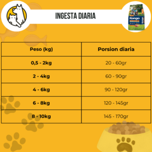 Kongo gold adulto raza pequeña - Image 3