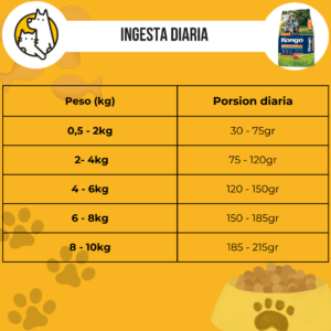 Kongo perro adulto razas pequeñas - Image 3