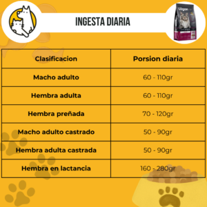 Logan gato - Image 3
