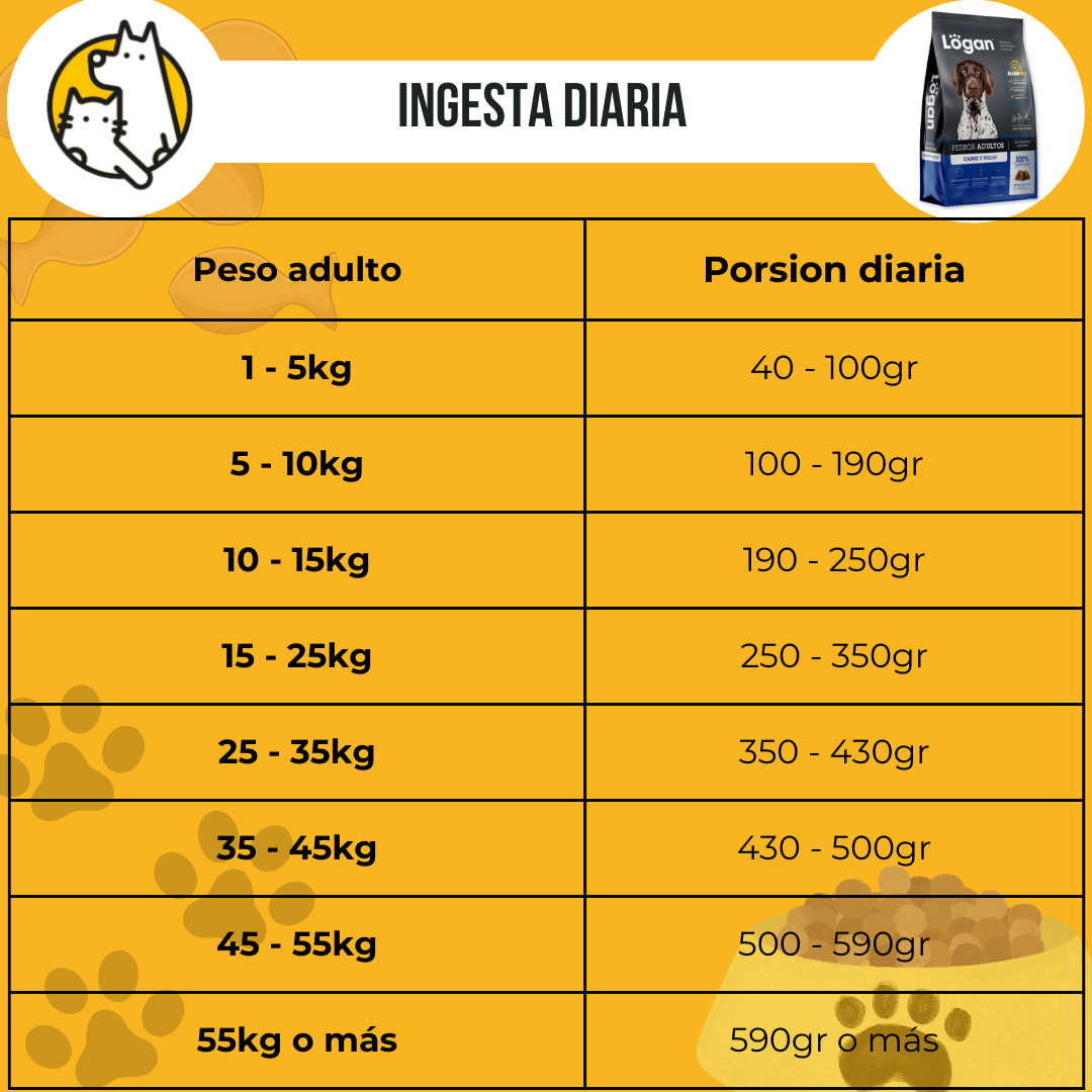 Logan perro ID