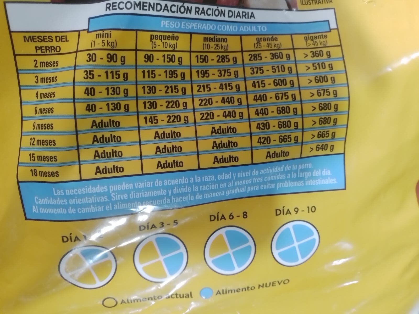 Pedigree cachorro ID