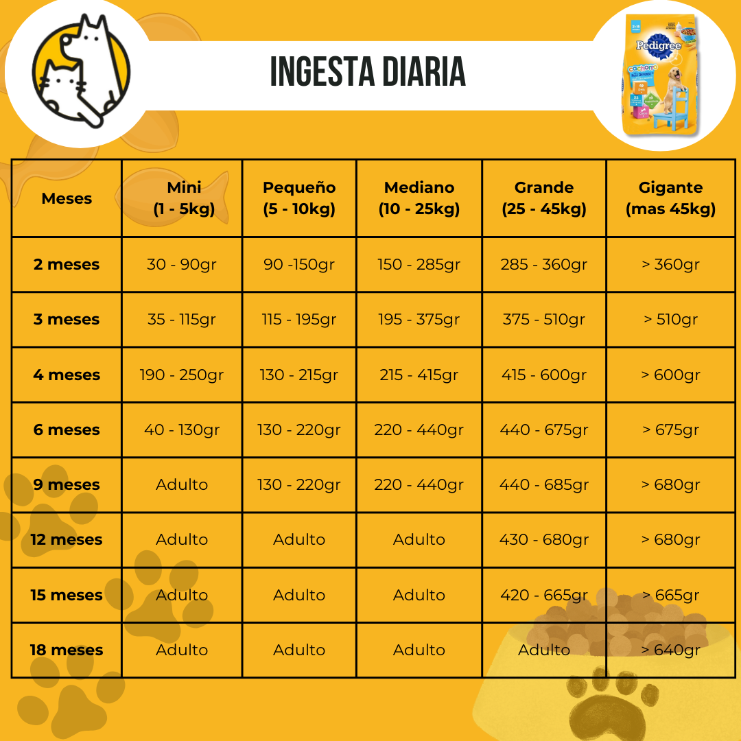 Pedigree cachorro ID