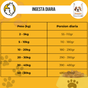 Vagoneta Perro - Image 3