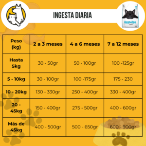 Vagoneta cachorro - Image 3