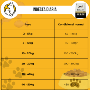 Estampa Plus - Image 3