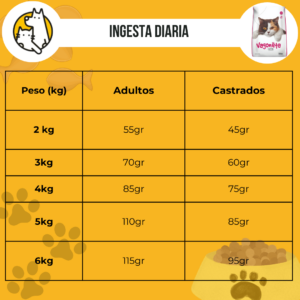 Vagoneta gato - Image 3