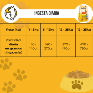 Amipet Perro adulto - Image 3
