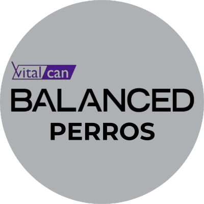 Vital can balanced perro