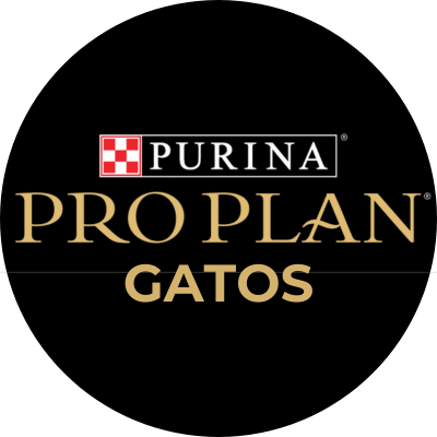 Pro plan gato