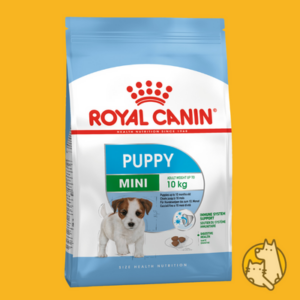Royal canin mini junior