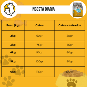 Belcat Gato - Image 3