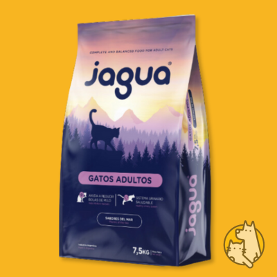 JAGUA-GATO-3.png