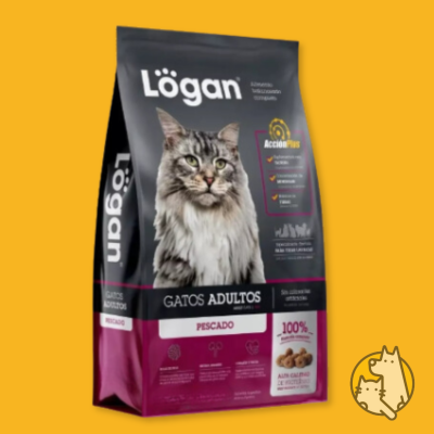 LOGAN-GATO-4.png