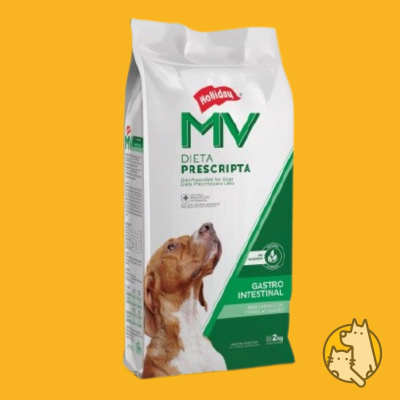 MV-GASTROINTESTINAL-1.png