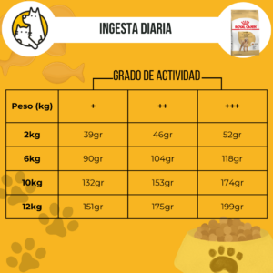 Royal Canin Caniche Adulto - Image 3